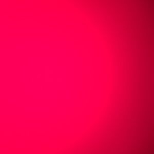 Meet your Posher, Irma